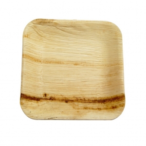 Compostable_Palm_Leaf_Square_Plate_-_7inch_1024x1024